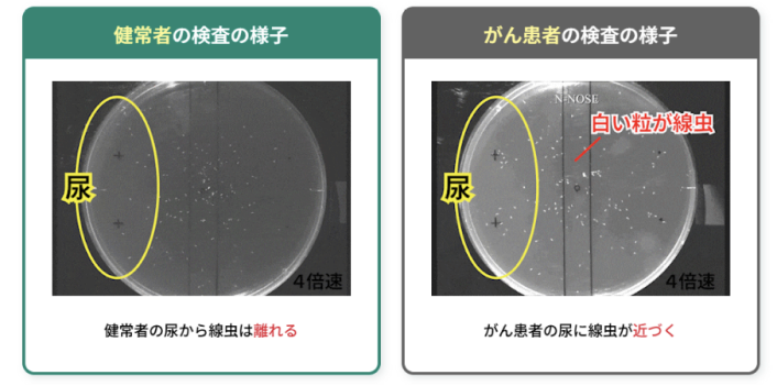 検査の様子